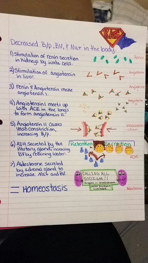 Ras System, Raas System Notes, Ras System Nursing, Raas System, Raas System Nursing Mnemonics, Adrenergic Receptors Mnemonic, Electrolyte Imbalance Nursing Mnemonics, Nursing Pathophysiology Concept Maps, Endocrine System Nursing