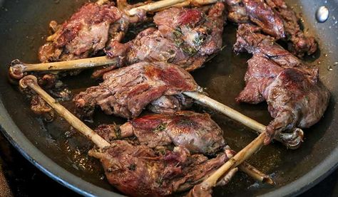 Slow cooking snow goose legs with this confit recipe will result in delicious meat that is rich and fall-off-the-bone tender. Snow Goose Recipes, Goose Legs Recipe, Cooked Goose, Wild Recipes, Meaty Meals, Confit Recipes, Goose Recipes, Farm Recipes, Season Recipes