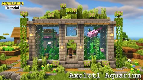 Cute Minecraft Aquarium, Minecraft Axolotl Habitat Ideas, Axolotl House Minecraft, Axolotl Tank Minecraft, Aquarium Minecraft Ideas, Axolotl Minecraft Build, Minecraft Armadillo Enclosure, Minecraft Turtle Enclosure, Minecraft Aquarium Ideas