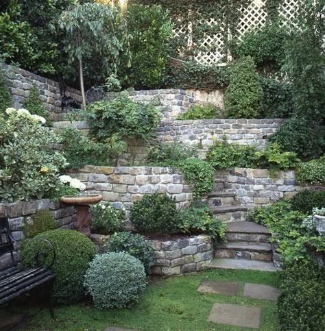 Tiered Landscaping, Terraced Garden, Walled Gardens, Terraced Landscaping, Garden Walls, Sloped Backyard, Landscaping Retaining Walls, Pond Ideas, Tiered Garden