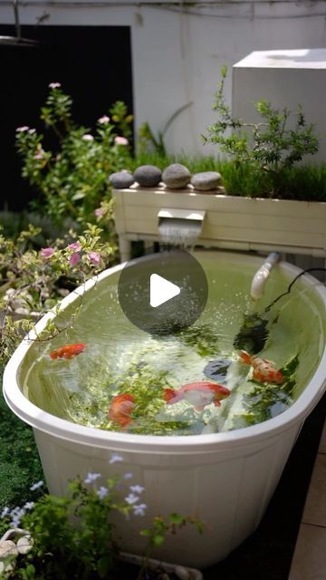 Small Goldfish Pond, Indoor Pond, Patio Pond, Goldfish Pond, Fish Pond, Goldfish, Easy Projects, Fish, Patio