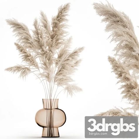 Download Link: https://3ds-max.org/plant/plants/a-beautiful-lush-bouquet-of-dried-flowers-in-a-vase-with-dry-branches-of-pampas-cortaderia-white-reeds-150-3dsmax-download/ Plants White Background, Architect Portfolio Design, Architect Portfolio, Dry Branch, Flowers In A Vase, Dry Plants, 3ds Max, Portfolio Design, Flower Vases