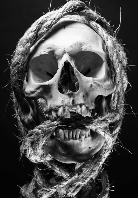 Human Skull Photography, Skull Photography, Skull Wallpaper Iphone, Realistic Skull, Skeleton Artwork, Skull Rose Tattoos, Skull Reference, Skull Model, Skull Sketch