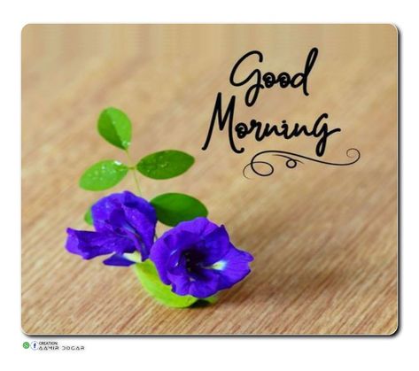 Special Good Morning For Him, Good Morning Quotes Hindi, Good Morning Videos, New Good Morning Images, Good Morning New, Good Morning Images With Quotes, Morning Massage, Good Morning Pics, Good Morning Posters