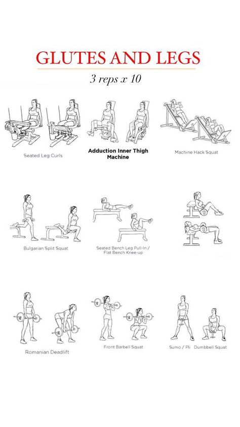 Leg Curl Machine, Tuesday Workout, Seated Leg Curl, Workout Gym Routine, Dumbbell Squat, Cat Gym, Barbell Squat, Leg Day Workouts, Leg Curl