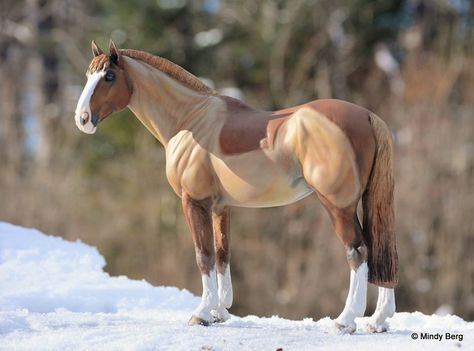 Horse Standing, Schleich Horses, Horse Custom, Bryer Horses, Horse Model, Horse Clipping, Breyer Horse, English Horse, Horse Inspiration