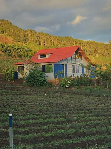 Paraíso de Cartago,Costa Rica.Bello mi país y la vida en el campo. Photo Board, Photo Boards, Rural Life, Rainy Season, Central America, Farm Life, Life Goals, Film Photography, Costa Rica