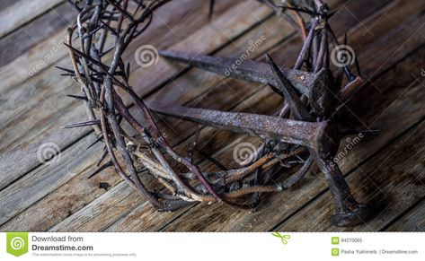 Crown Of Thorns And Nails, Art Photography Creative, Patterns Minimalist, Colorful Graphic Design, The Crown Of Thorns, Nails Photos, Experimental Photography, Nail Photos, Crown Of Thorns