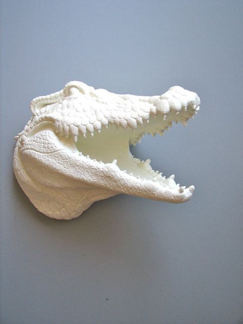 pretty cool Diy Animal Head Wall Mount, Ceramic Animal Heads Wall, Alligator Head Decor, Alligator Head, Alligator Clay Sculpture, Paper Mache Mounted Animal Heads, Animal Head Wall, Navy Walls, Reptile Room