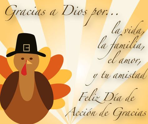 Feliz Día de Acción de Gracias Happy Thanksgiving In Spanish, Happy Thanksgiving Pictures, Happy Thanksgiving Images, Thanksgiving Messages, Thanksgiving Prayer, Thanksgiving Pictures, Thanksgiving Blessings, Thanksgiving Wishes, Thanksgiving Images