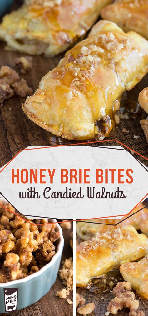 Honey Brie Bites with Candied Walnuts- it's impossible to eat just one! Mini Brie Honey Bites, Honey Brie Bites, Appetizers Brie, Honey Brie, Candied Walnut Recipe, Brown Sugar Recipes, Brie Bites, Honey Walnut, Walnut Recipes