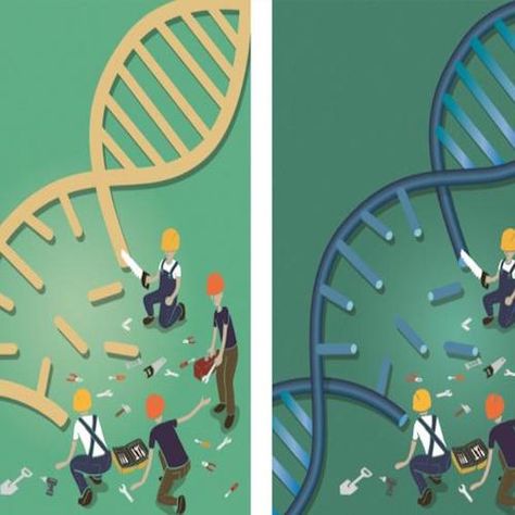 Structure of Critical DNA Repair Protein Revealed Dna Vs Rna, Dna And Rna Structure, Dna Transcription And Translation, Dna Drawing, Dna Facts, Dna Project, Dna Repair Mechanisms, Recombinant Dna Technology, Dna Replication