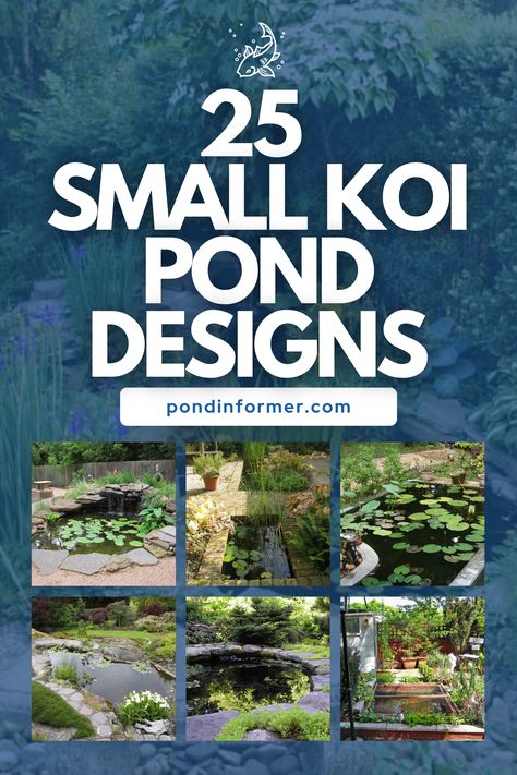 Koi Pond Design Ideas, Koi Fish Pond Backyard, Backyard Fish Pond Ideas, Simple Koi Pond, Small Koi Pond Ideas, Fishpond Ideas, Japanese Pond Garden, Diy Koi Pond, Small Koi Pond