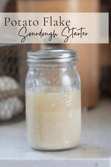 Sourdough Starter Recipe With Potato Flakes, Potato Flake Starter, Potato Flake Sourdough Starter, Dough Starter Recipe, Sourdough Sandwich Bread Recipe, Starter Sourdough, Make A Sourdough Starter, Flake Recipes, Sourdough Sandwich Bread