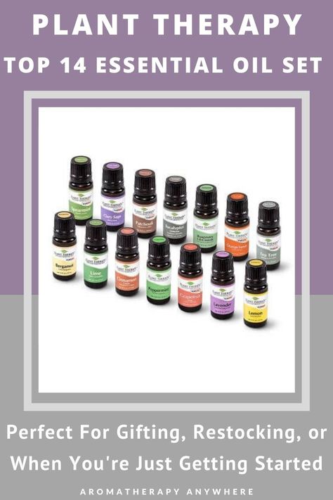 The Plant Therapy Top 14 Essential Oil Set is a great buy if you are looking for a cost-effective essential oil set to get started on your aromatherapy journey. The set contains 14 100% Pure, Undiluted, Therapeutic-Grade Essential Oils that can be used individually or to create your very own customized blends. Plant Therapy Essential Oils Recipes, Best Smelling Essential Oils, Plant Therapy Essential Oils, Essential Oil Carrier Oils, Essential Oils Gifts, Aromatherapy Blends, Essential Oil Set, Aromatherapy Gifts, Essential Oil Benefits