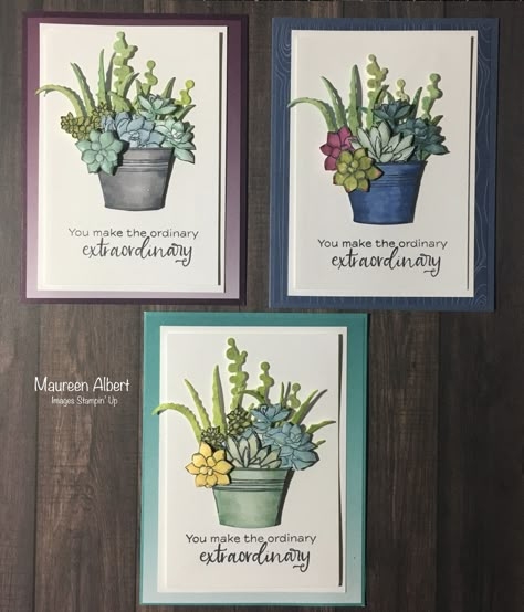 Stampin Up Succulents Cards, Su Simply Succulents, Su Simply Succulents Cards, Stampin Up Succulent Garden Cards, Stampin Up Oh So Succulent, Succulent Cards Handmade, Oh So Succulent Stampin Up Cards, Plentiful Plants Stampin Up Cards, Simply Succulents Stampin Up Cards