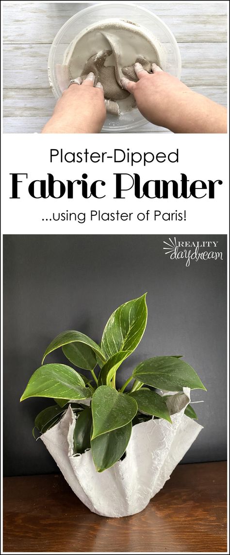 Plaster-Hardened Fabric Planters | Reality Daydream Plaster Of Paris Planter Diy, Diy Plaster Planter, Plaster Of Paris Crafts, Fabric Planters, Plaster Craft, Paris Crafts, Back Of My Mind, Diy Plaster, Plaster Crafts