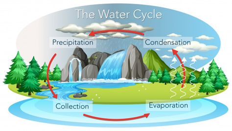 Water cycle process on earth | Free Vector #Freepik #freevector Water Cycle Aesthetic, Water Cycle Drawing, Water Cycle Process, Hydrological Cycle, Cycle Drawing, Physics Concepts, Air Hujan, Nonrenewable Resources, Learning Binder