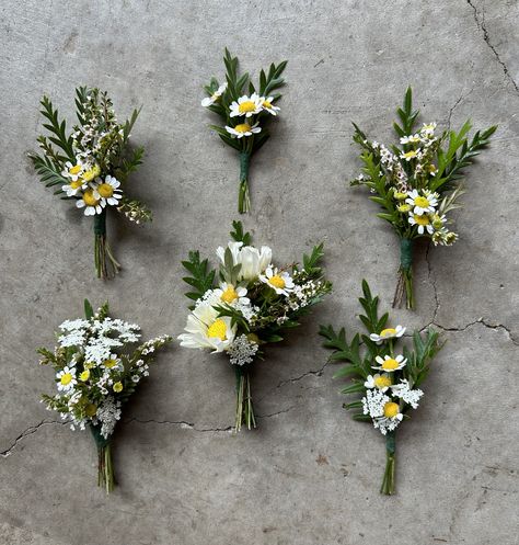 Mini Daisies Mini Daisy Bouquet, Daisy Boutineer, Daisy Wedding Arch, Chamomile Wedding Decor, Chamomile Boutonniere, Chamomile Wedding Bouquet, Daisy And Baby Breath Bouquet, Daisy Corsage And Boutonniere, White Wildflower Boutonniere