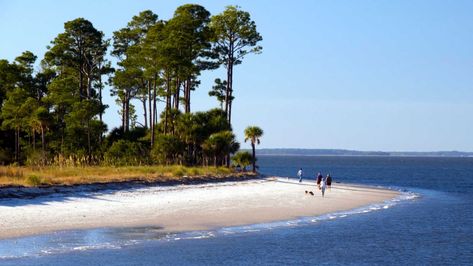 Sunny and serene locales to plant your beach chair for spring break in the south. Avoid the Florida crowds. Travel Outfit Summer Airport, Chincoteague Island, South Carolina Travel, Photos Bff, Spring Break Destinations, South Carolina Beaches, Places To Live, Best Family Vacations, South Padre Island