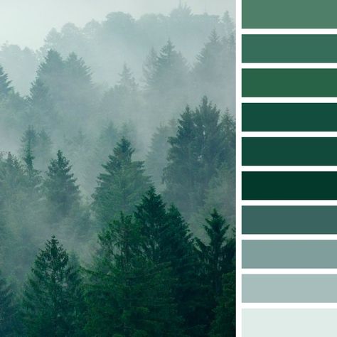 Pnw Color Palette, Forest Green Colour Palette, Forest Colour Palette, Forest Color Palette, Color Names Chart, How To Start Painting, Black Bedroom Design, Blue Green Paints, Dark Color Palette