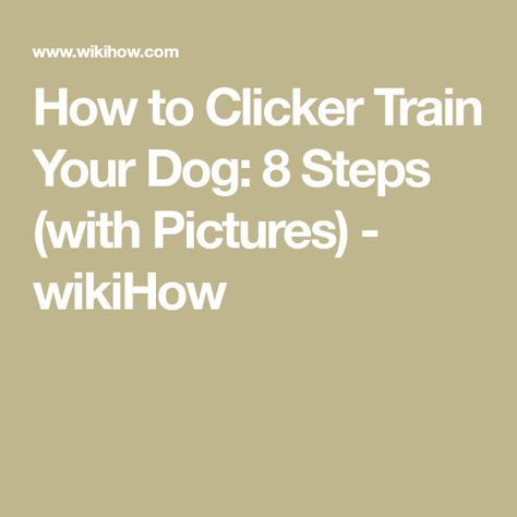 Clicker Training Puppy, Hickory Tree, Dog Clicker Training, Dog Search, Train Your Dog, Purebred Dogs, Dog Help, 12 Step, Older Dogs