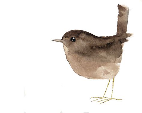 Bird Watercolor Paintings, Watercolor Birds, Brown Bird, Watercolor Paintings For Beginners, Diy Watercolor Painting, Watercolour Inspiration, Watercolor Paintings Easy, Watercolor Painting Techniques, Hur Man Målar