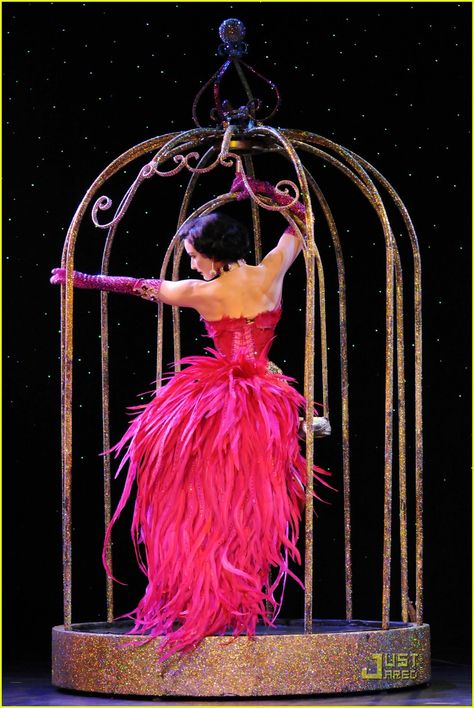 Dita Von Teese Burlesque, Seussical Costumes, Dita Von Tease, Vegas Showgirl, Paradise Dress, Burlesque Costumes, Burlesque Show, Burlesque Costume, Dita Von