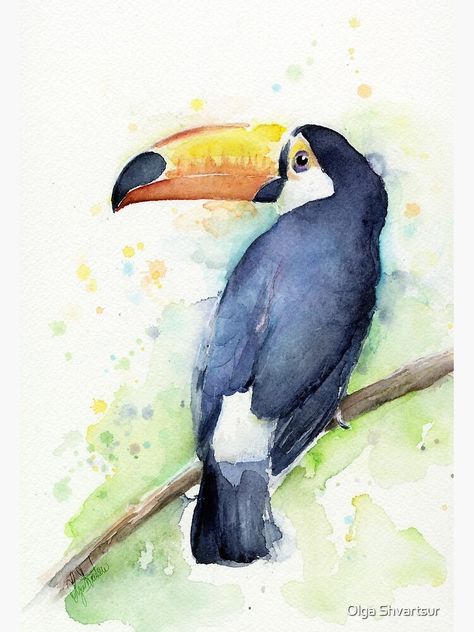 "Toucan Watercolor" Poster by olga-shvartsur | Redbubble Nursery Colorful, Hummingbird Print, Wall Art Rainbow, Animal Watercolor, Birds In The Sky, Animal Art Prints, Watercolor Paintings For Beginners, Art Rainbow, Watercolor Projects