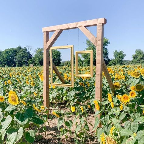 Pumpkin Patch Business, Agritourism Farms, Pumpkin Patch Farm, Sunflower Patch, Cut Flower Farm, Farm Day, Farm Business, Farm Fun, Pumpkin Farm