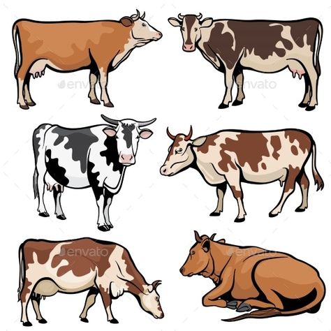 Farm Cows Dairy Cattle in Cartoon Vector Style by MicrovOne | GraphicRiver Farm Cartoon, Cow Illustration, Cow Colour, Dairy Cattle, Coloring Pages Inspirational, Cartoon Cow, Farm Cow, Cattle Farming, Cow Painting