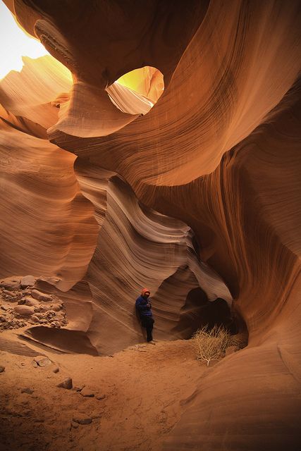 Antelope Canyon, Arizona Desert Travel, Desert Dream, Geology Rocks, 10 Picture, Amman, Desert Landscaping, Red Rock, Antelope Canyon, Amazing Nature