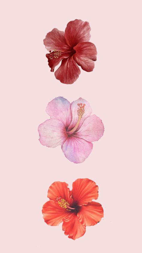 Summer 2024 Wallpaper Iphone, Summer Inspo Wallpaper, One Love Aesthetic, 2014 Summer Wallpaper, Beach Aesthetic Prints, Flower Lock Screen Wallpaper, Hibiscus Wallpaper Aesthetic, Wallpaper Backgrounds Boho, Girliesigns Account