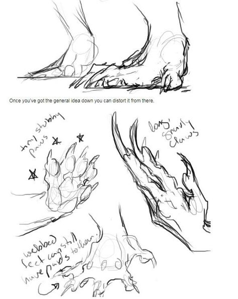 Monster Claws Drawing Reference, Claw Reference, Drawing Fantasy Creatures, Dragon Anatomy, Creature Drawings, Concept Art Drawing, Monster Design, Creature Concept Art, Anatomy Art