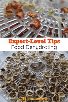 Dehydrator Meals, Dehydrating Food Storage, Food Dehydration, Dehydrating Food, Dehydrated Vegetables, Canned Food Storage, Dehydrated Fruit, Backpacking Food, Dehydrated Food