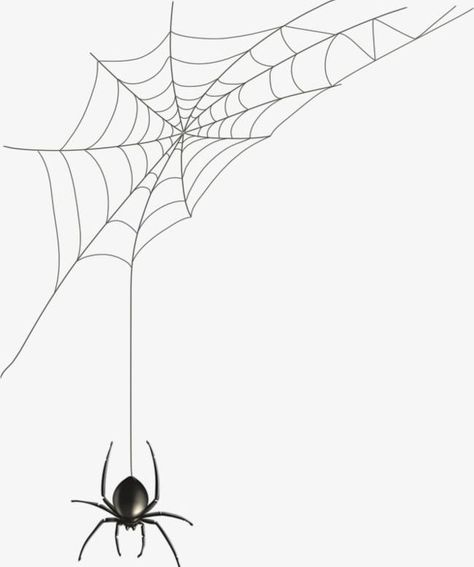 Black House Spider, Spider Web Png, Spider Png, Spider Web Drawing, Spider Clipart, Spider House, Pencil Strokes, Spider Net, Spider Web Tattoo