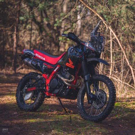 Honda Nx650, Honda Wing, Honda Dominator, Adventure Bike Motorcycles, Bike Motorcycles, Dmc Delorean, Soichiro Honda, Dual Sport Motorcycle, Enduro Motorcycle