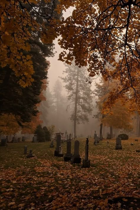 Dark Witchy Halloween Aesthetic, Clinomania Aesthetic, Fall Graveyard Aesthetic, October Aethstetic, Autumn Aesthetic Spooky, Cozy Spooky Aesthetic, Scary Halloween Aethstetic, Pretty Graveyard, Spooky Autumn Aesthetic