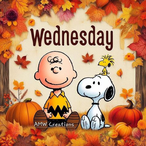 Happy Wednesday Fall Images, Wednesday Snoopy, Good Morning Snoopy, Good Morning Wednesday, Daily Greetings, Wednesday Quotes, Fall Images, Joe Cool, Snoopy Pictures