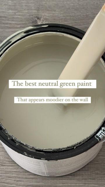 Renewed By Magnolia Paint, Green Tan Paint Color, Green Neutral Paint Colors, Cream And Sage Exterior Paint, Khaki Green Paint Color, White Green Paint Colors, Bm Soft Fern, Spanish Moss Paint Color, Light Gray Green Paint Colors