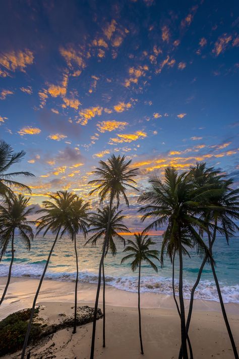 Barbados Barbados Honeymoon, Caribbean Sunset, Popular Honeymoon Destinations, Honeymoon On A Budget, Top Honeymoon Destinations, Beach Honeymoon Destinations, Romantic Honeymoon Destinations, Honeymoon Places, Best Honeymoon Destinations