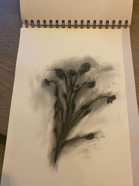 Charcoal Sketches Ideas, Gloomy Drawing Ideas, Charcoal Nature Art, Spooky Charcoal Drawing, Ink Drawing Aesthetic, Flowers Charcoal Drawing, Charcoal Art Flowers, Charcole Drawings Easy, Graphic Drawing Ideas