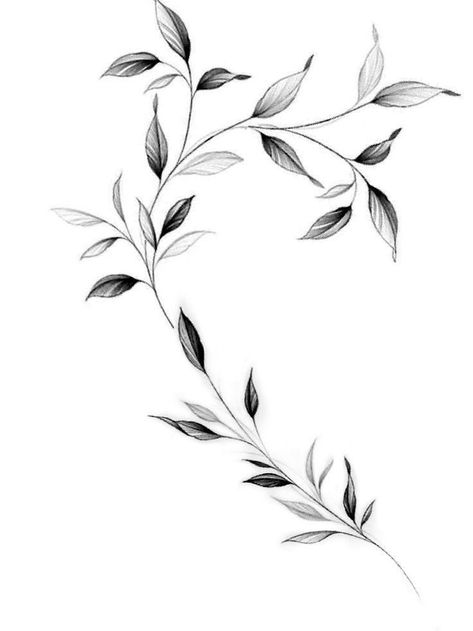 Leaves On Vine Tattoo, Branch Tattoo Men, Vine Tattoo Men, Vine Underboob Tattoo, Linework Tattoo Sleeve, Leaf Branch Tattoo, Flower Branch Tattoo, Simple Vine Tattoo, Rose Vine Tattoo