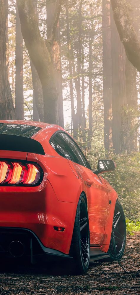 Ford Mustang Wallpaper Iphone, Mustang Wallpaper Iphone, Cars Wallpaper Mustang, Ford Mustang Gt Wallpaper Hd, Mustang Wallpaper 4k, Mustang Phone Wallpaper, Mustang Live Wallpaper, Ford Mustang Wallpaper, Bmw Old