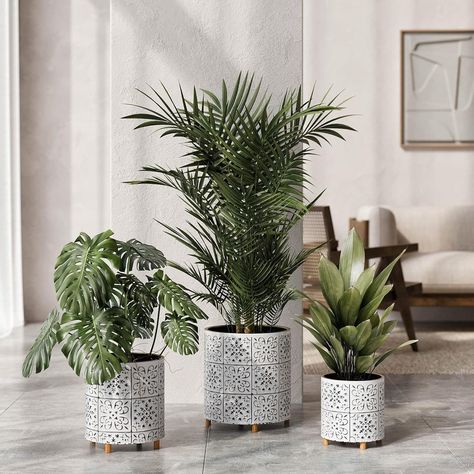 Amazon.com : EverNest Tristan White and Black Planter with Wooden Peg Leg Stand, Plant Pot Set, SelectBase, Boho Style Print, Indoor Cachepot Home Decor Planter for Plants (Set of 3) : Tools & Home Improvement Stand Plant, Peg Leg, Black Planters, Pot Set, Bar Wall, Patio Bar, Wooden Pegs, Wall Bar, Pot Sets