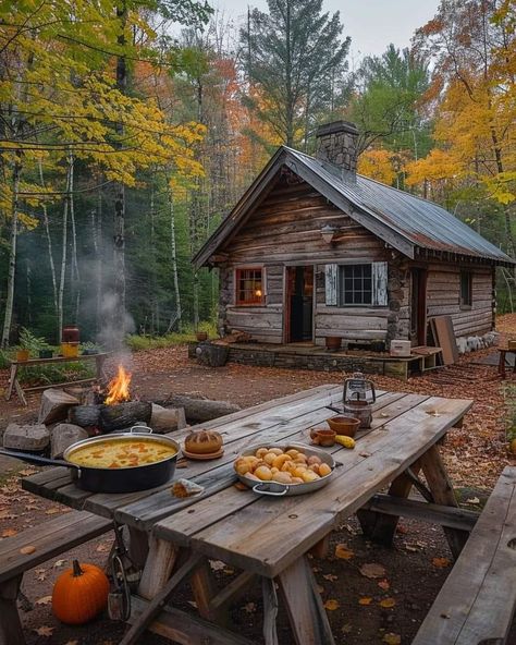 Log Cabin, Campfire, Cabin, Log