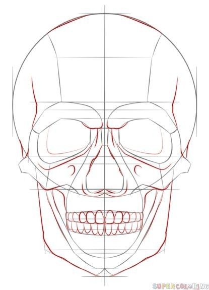 Draw A Skull, Skull Sketch, Drawing Tutorials For Kids, Skulls Drawing, 얼굴 그리기, Tanah Liat, Lips Drawing, Drawing Drawing, Skull Drawing