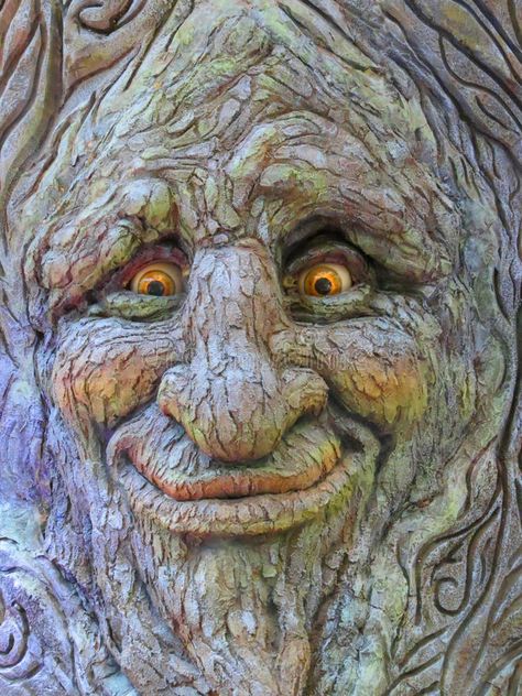 Tree Face. A spooky and smiling face in a tree at the 2013 Autumn display in the , #sponsored, #face, #tree, #smiling, #Tree, #Face #ad Wood Carving Faces, Tree People, Magical Tree, Face Carving, Picture Picture, Tree Faces, Wood Spirit, Tree Carving, Unique Trees