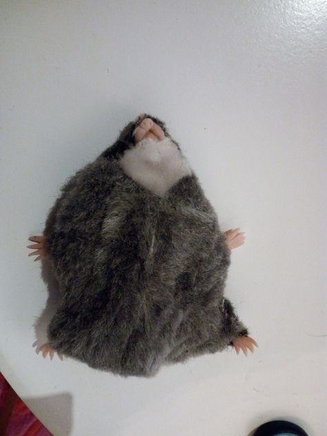 Flat Hamster prop for 'Persona non grata' a theatre-film production Flat Hamster, Film Production, Hamsters, Persona, Film, Animals