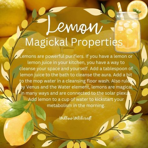 Witchy Ingredients, Witch's Apothecary, Witchy Recipes, Magical Herbs Witchcraft, Witchy Diy, Magickal Correspondences, Kitchen Witchcraft, Kitchen Witch Recipes, Lemon Seeds